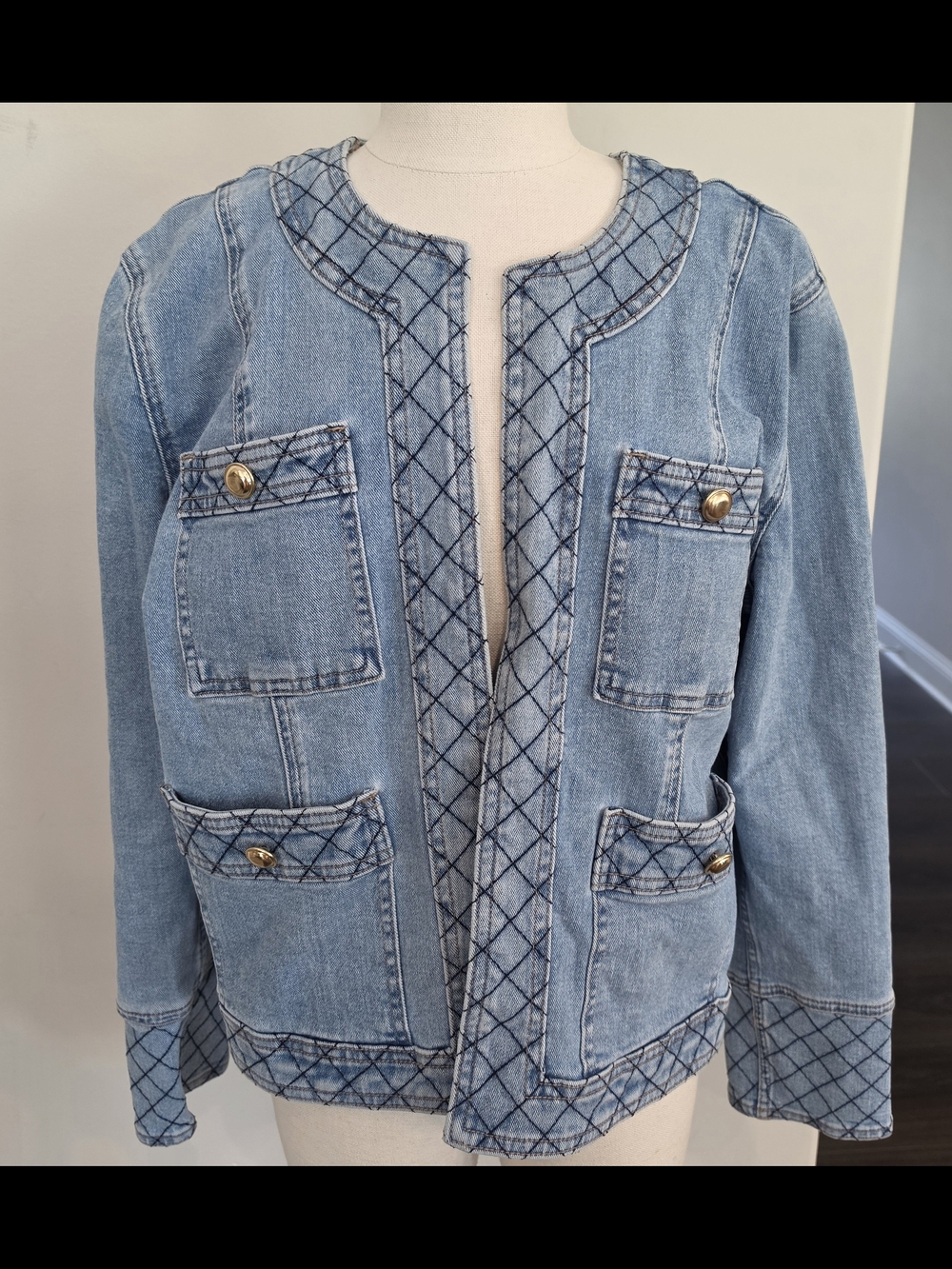 Express Light Wash Quilted-Trim Denim Jacket